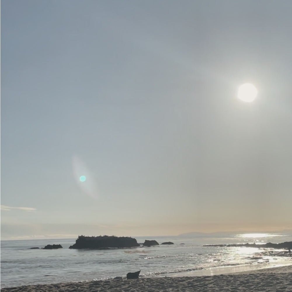 Meet your Posher, Angel